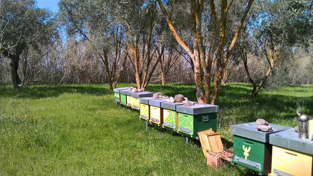 B&B Terra E Paglia Marrùbiu Kültér fotó